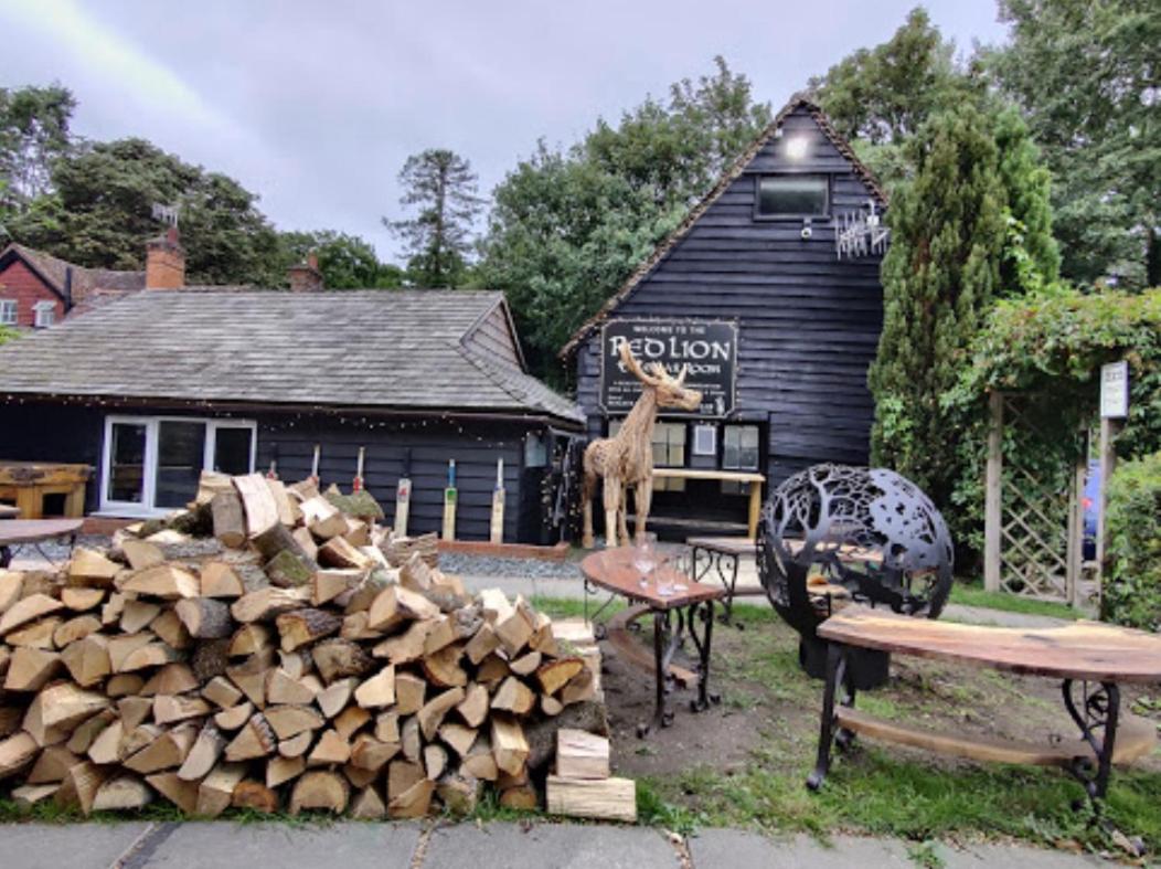 The Red Lion & Cellar Room, Betchworth エクステリア 写真