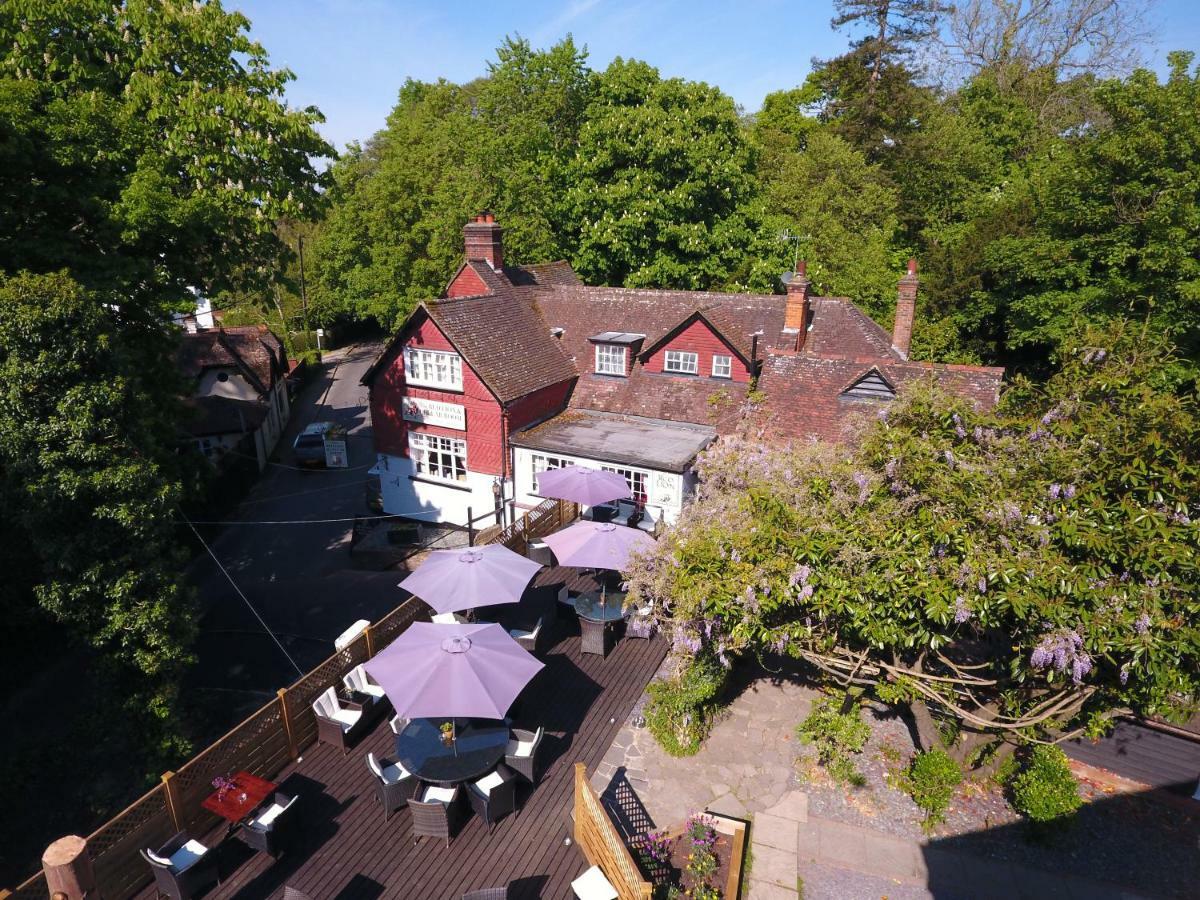 The Red Lion & Cellar Room, Betchworth エクステリア 写真