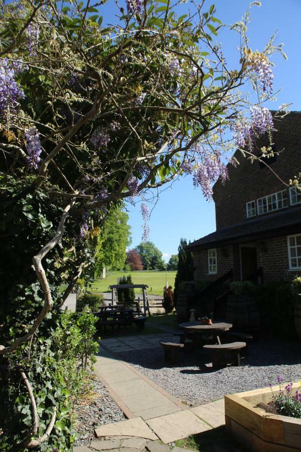 The Red Lion & Cellar Room, Betchworth エクステリア 写真
